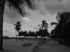 miami beach bnw.jpg (62278 bytes)